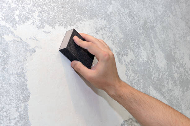 Best Mold Odor Removal Services  in Union Gap, WA