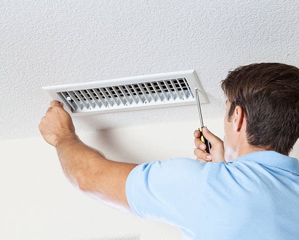 Best Mold Damage Restoration  in Union Gap, WA